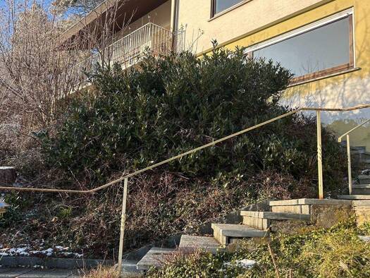 Studio zur Miete 410 € 1,5 Zimmer 81,4 m² frei ab sofort Wellendingen 78669