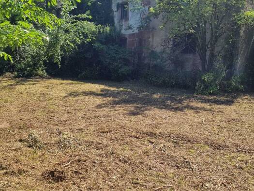 Grundstück zum Kauf 130.000 € 2.500 m² Grundstück Büschfeld Wadern 66687
