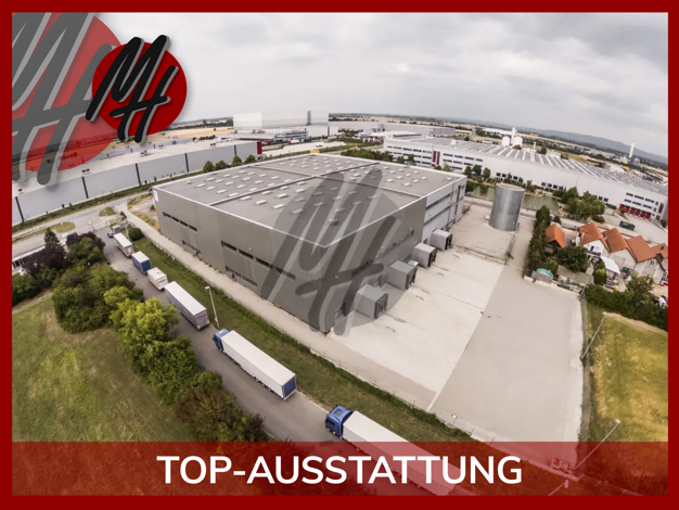 Halle/Industriefläche zur Miete 6.000 m² Lagerfläche Gernsheim 64579