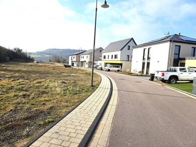 Grundstück zum Kauf 250.000 € 628 m² Grundstück Wellen 54441