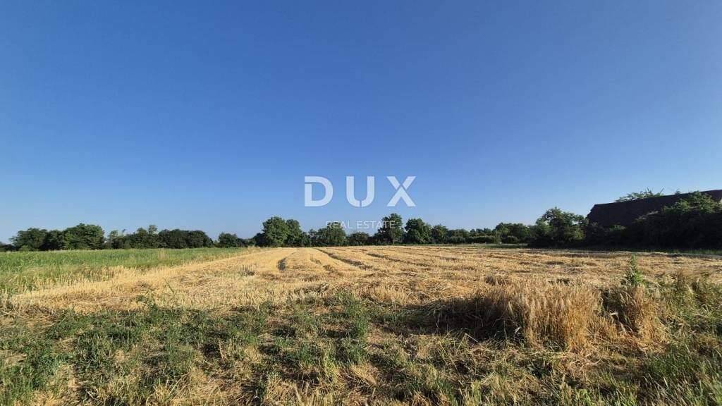 Land-/Forstwirtschaft zum Kauf 99.890 € Rugvica