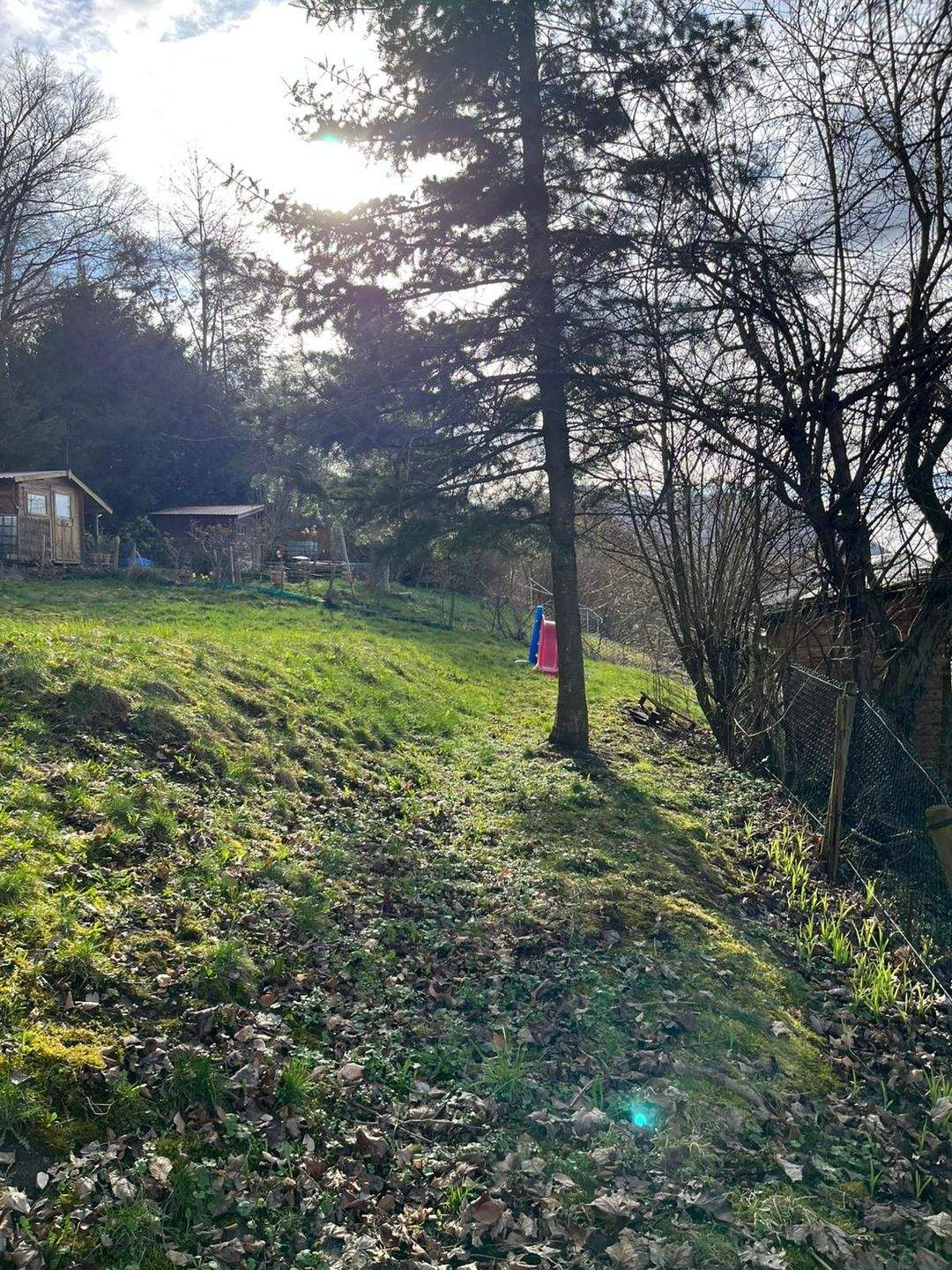 Immobilie in Dettingen an der Erms - Aufwendig renovierte 2-Zi. ETW in kleiner Einheit - Bild 2