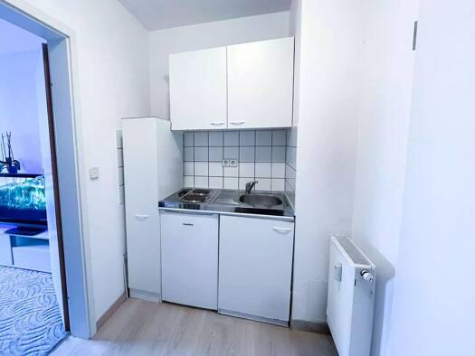 Wohnung zur Miete 490 € 1 Zimmer 30,5 m² frei ab 01.02.2026 Südstadt Fürth 90763