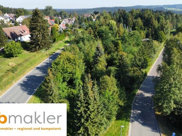 Grundstück zum Kauf 295.000 € 13.687 m² Grundstück Grünhaid Schönwald 95173