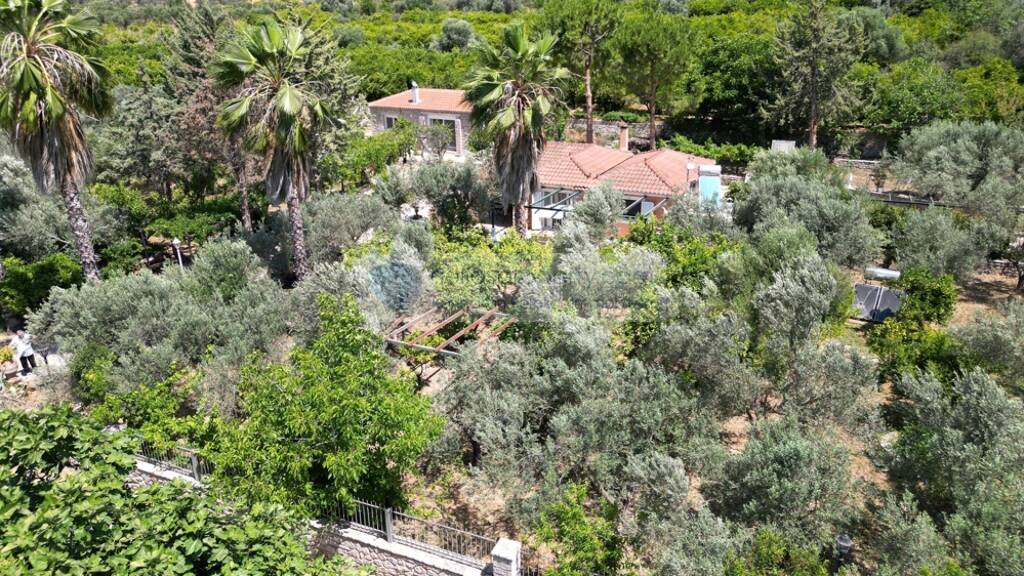 Einfamilienhaus zum Kauf 450.000 € 5 Zimmer 150 m² 6.900 m² Grundstück Epidaurus 21059