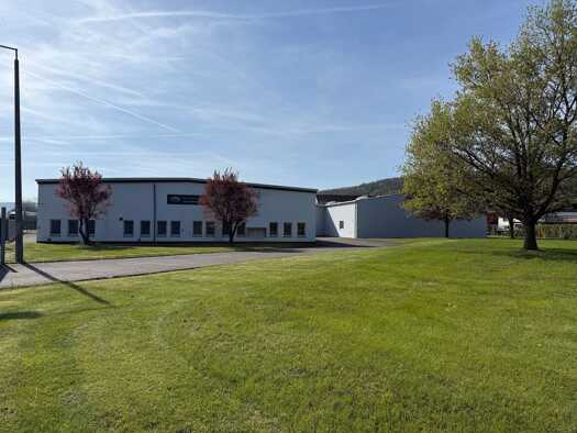 Produktionshalle zum Kauf 1.900.000 € 8.295 m² Lagerfläche Treffurt Treffurt 99830