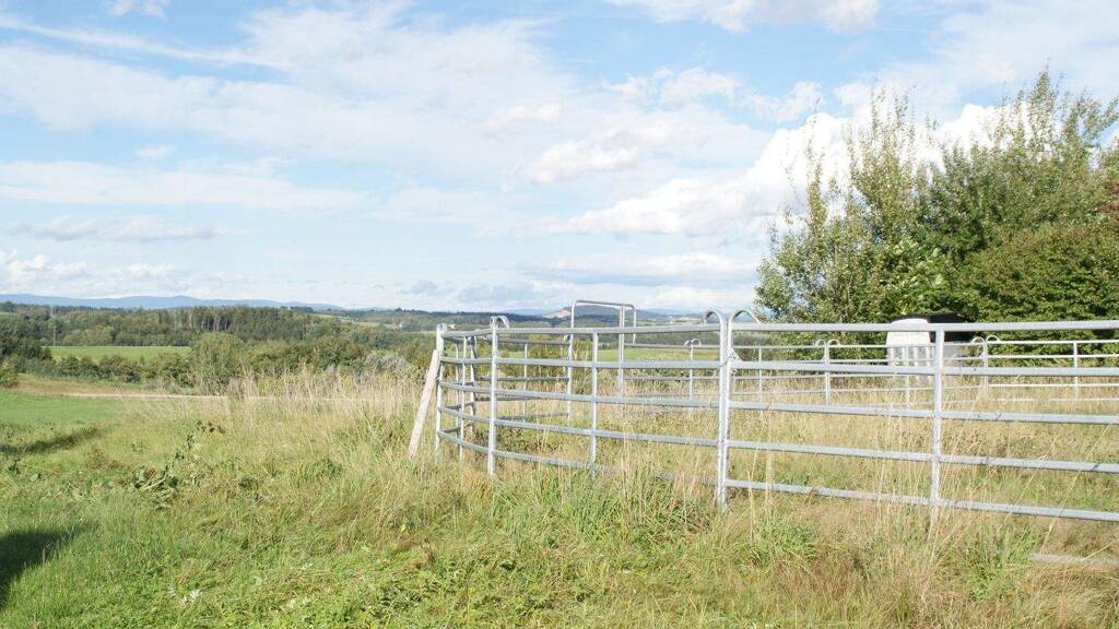 Grundstück zum Kauf 1.449 m² Grundstück Baugenehmigung vorhanden frei ab sofort Albersdorf Vilshofen an der Donau 94474