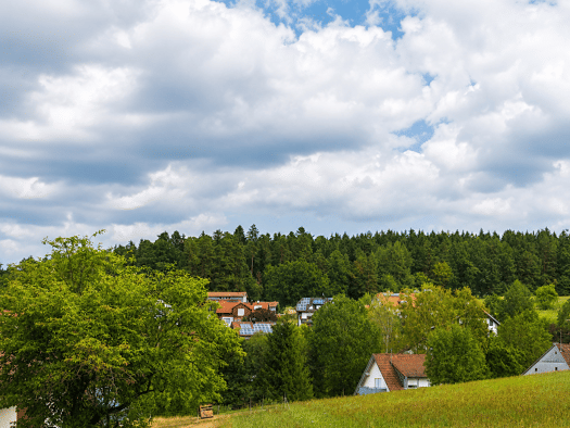 Terrassenwohnung zur Miete 1.100 € 3 Zimmer 95 m² Geschoss EG/3 frei ab 01.11.2026 Oberwaldach Waldachtal 72178