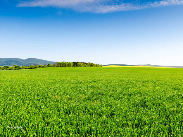 Land-/Forstwirtschaft zum Kauf 217.103 € 40.423 m² Grundstück Weiding Weiding 92557