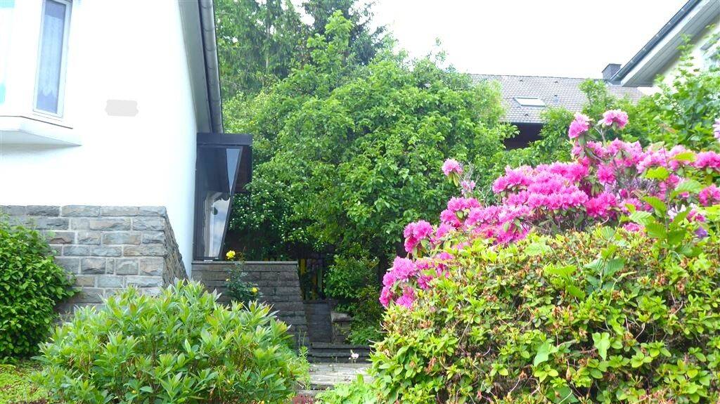 Mehrfamilienhaus zum Kauf - Mehr