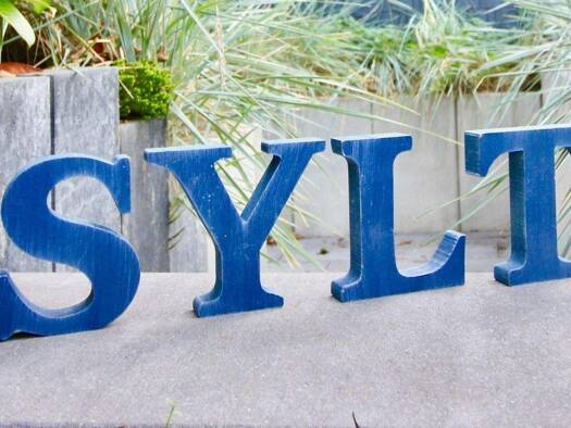 Einfamilienhaus zum Kauf 1.299.000 € 8 Zimmer 315 m² 1.161 m² Grundstück frei ab sofort Rellingen 25462