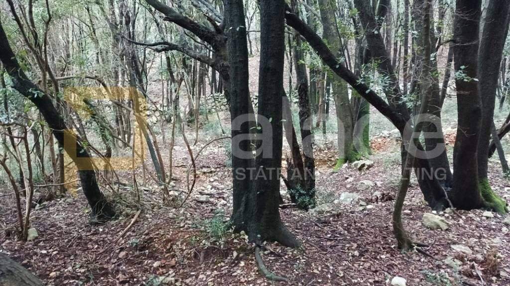 Land-/Forstwirtschaft zum Kauf 576.000 € Krk