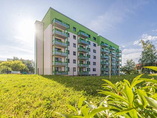 Studio zur Miete 216 € 1 Zimmer 30,2 m² 3. Geschoss Am Holländer 16 Döbeln 04720
