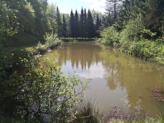 Teich-/Fischwirtschaft zum Kauf 350.000 € 8.226 m² Grundstück Lähden Lähden 49774