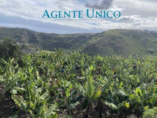 Acker-/Waldstück zum Kauf 1.500.000 € Las Palmas de Gran Canaria 35400