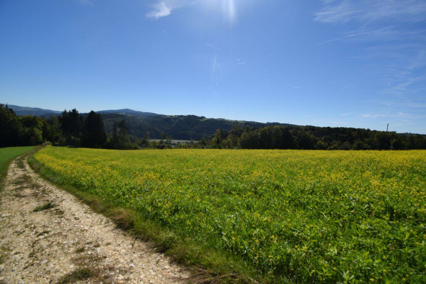 Land-/Forstwirtschaft zum Kauf - Ansicht 6