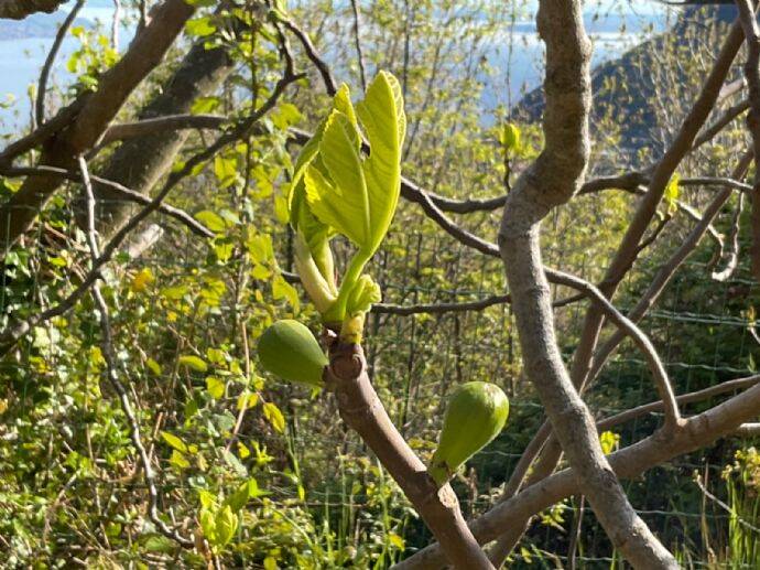 Property thumbnail 12