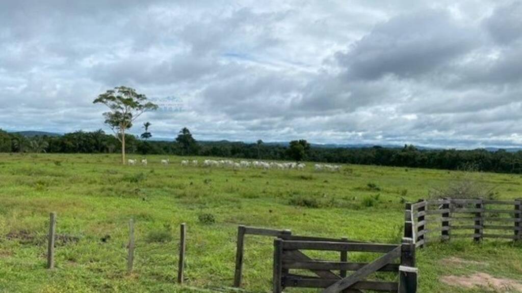 Grundstück zum Kauf 390.000 € 1.000.000 m² Grundstück Boa Vista RR 69301000