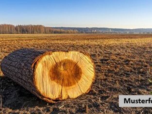 Land-/Forstwirtschaft zum Kauf 930 € 997 m² Grundstück Astert 57627