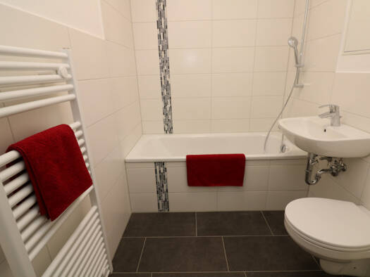 Wohnung zur Miete 389 € 3 Zimmer 55,2 m² 2. Geschoss Paul-Müller-Straße 42 Freiberg 09599