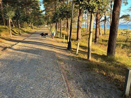 Terrassenwohnung zum Kauf 337.000 € 3 Zimmer 77,5 m² EG frei ab sofort Dollahner Straße 55 Binz 18609