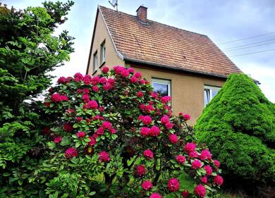 Einfamilienhaus zum Kauf 89.500 € 3 Zimmer 85 m² 1.020 m² Grundstück frei ab sofort Tobertitz Weischlitz 08538