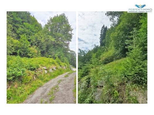 Grundstück zum Kauf 480.000 € 1.570 m² Grundstück Kitzbühel 6370