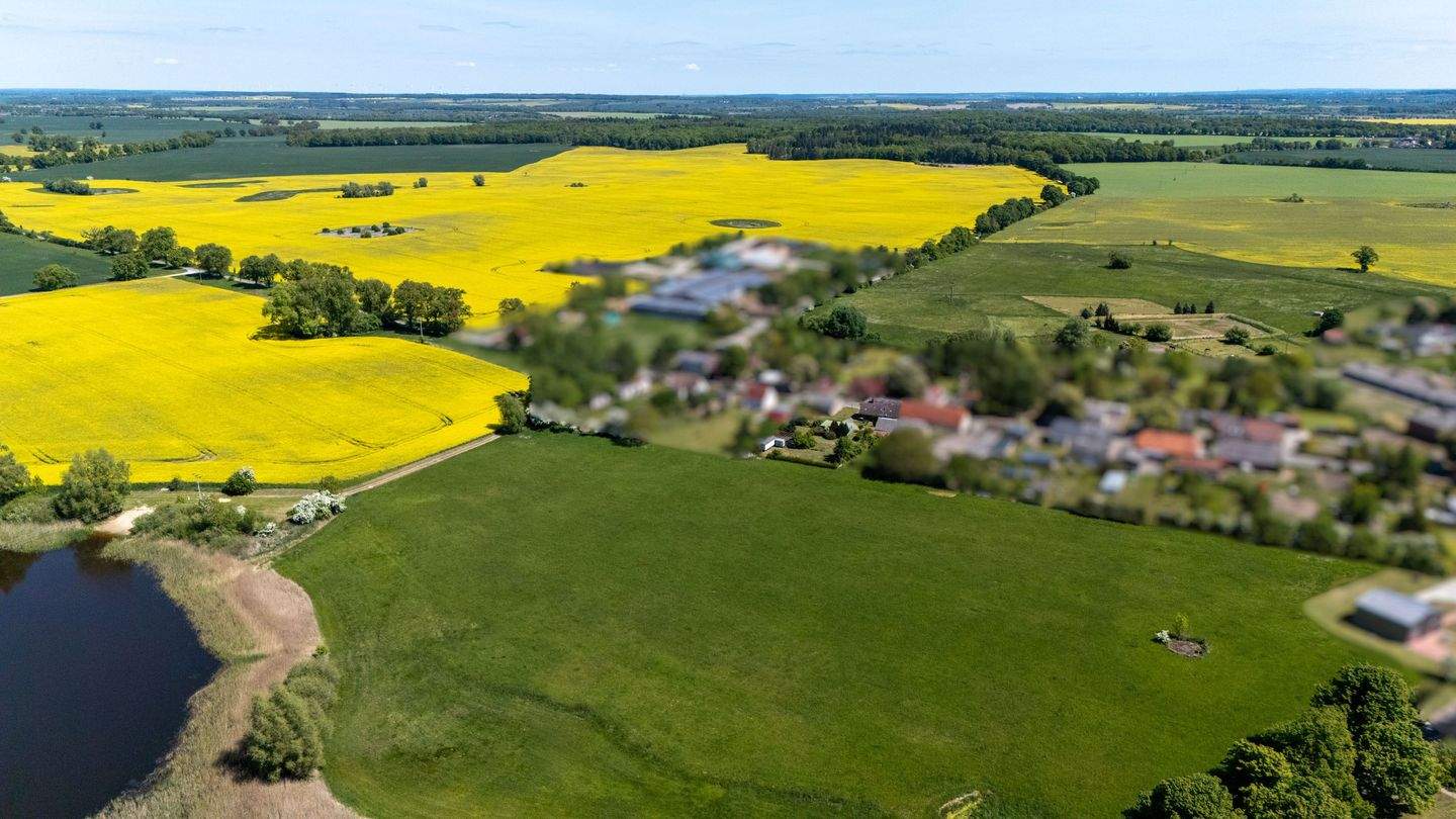 Immobilie in Penzlin - Gut geschnittene Doppelhaushälfte - teilweise Seeblick - Bild 1