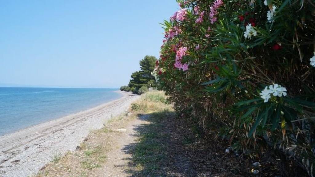 Grundstück zum Kauf 350.000 € 5.000 m² Grundstück Kamena Vourla /   35008