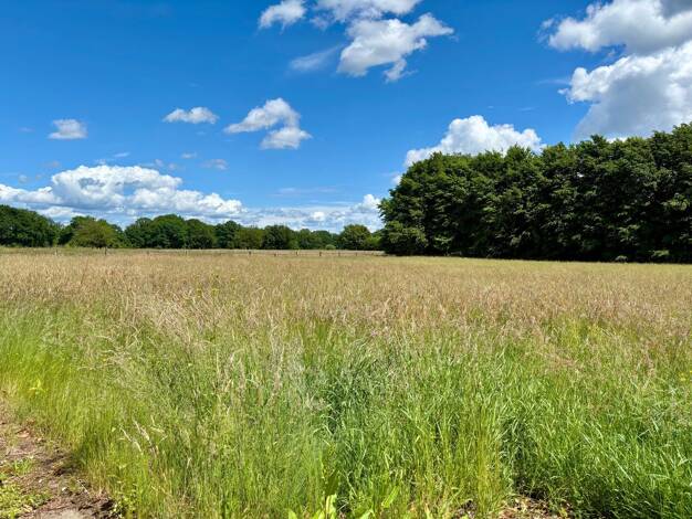 Land-/Forstwirtschaft zum Kauf 950.000 € 5.936 m² Grundstück Ellerbek 25474