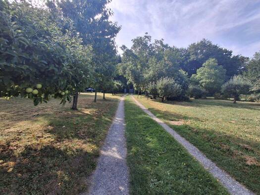 Grundstück zum Kauf 99.000 € 3.240 m² Grundstück Baugenehmigung vorhanden frei ab sofort Am Oberen Siechenbach Saalfeld Saalfeld/Saale 07318