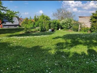 Einfamilienhaus zum Kauf 217.290 € 4 Zimmer 100 m² 429 m² Grundstück Witterda Witterda 99189