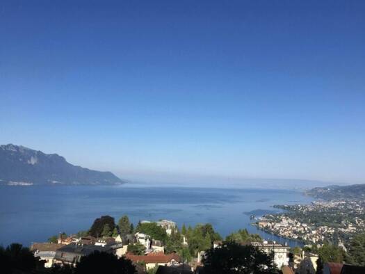 Einfamilienhaus zum Kauf 2.900.000 € 7 Zimmer 216 m² 1.235 m² Grundstück Montreux 1823