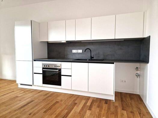 Wohnung zur Miete - Erstbezug 811 € 3 Zimmer 70,5 m² frei ab sofort Innenstadt Halle (Saale) 06112