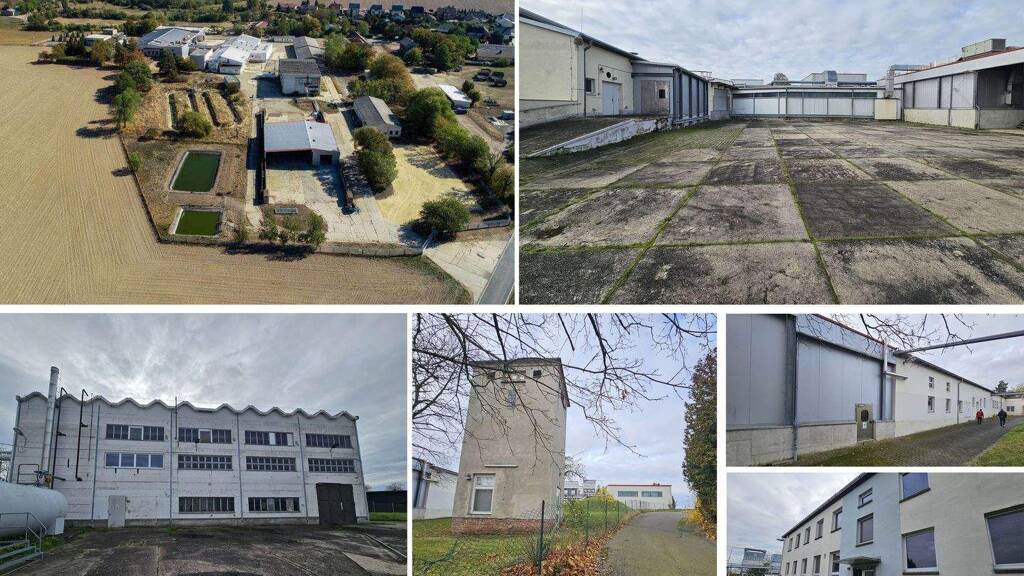 Lagerhalle zur Miete provisionsfrei 1.750 € 500 m² Lagerfläche Mutzschen Grimma 04688