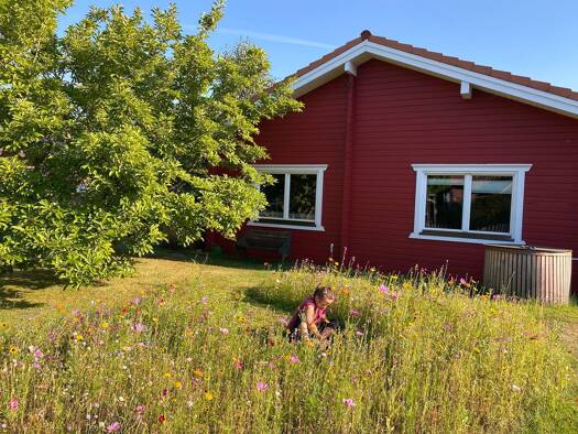 Einfamilienhaus zum Kauf provisionsfrei 549.000 € 6 Zimmer 200 m² 1.354 m² Grundstück Wrist 25563